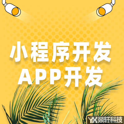 鄭州小程序開發(fā) 鄭州小程序開發(fā)